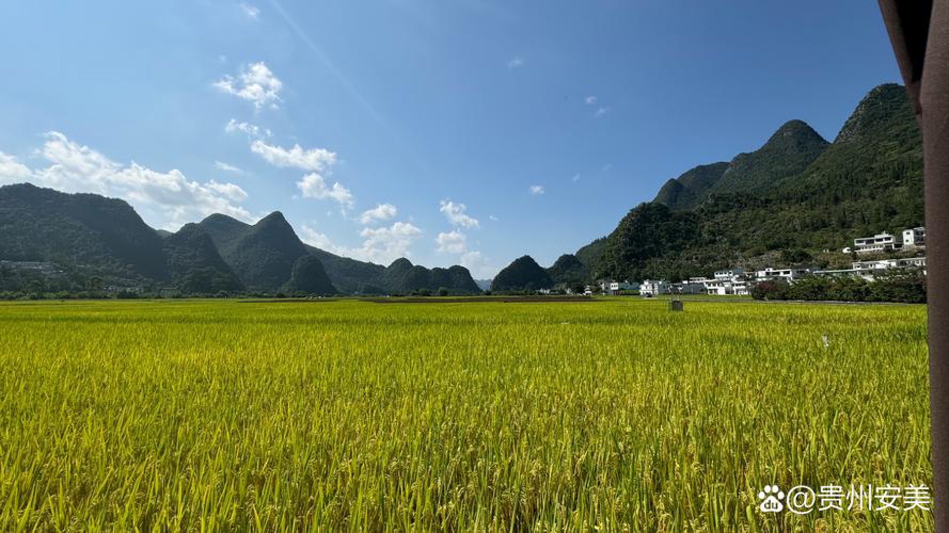 众信种业
